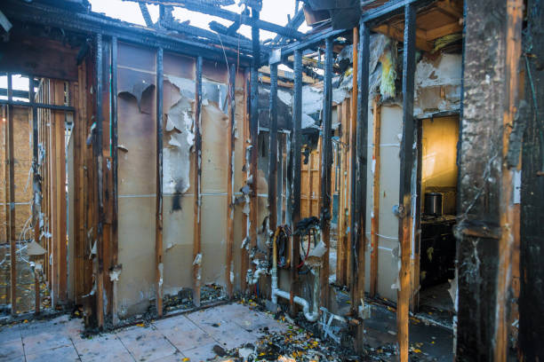 Professional Fire Damage Removal technician working in Newark, IL